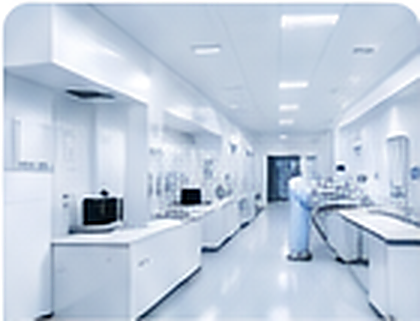 Raw Materials Inspection